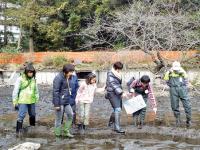 かいぼり井の頭池底探検ツアー