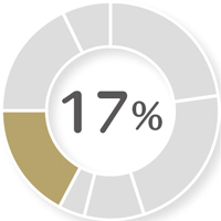 全体の17％
