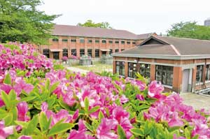 旧三河島汚水処分場ポンプ場施設の写真