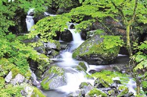 入賞作品の写真