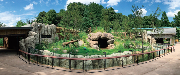 パンダのもりの写真