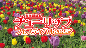 サムネイルの画像