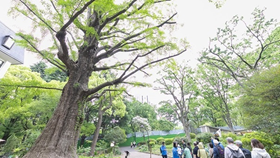 サムネイルの画像