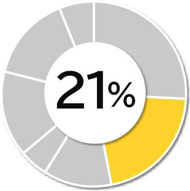 全体の21パーセント
