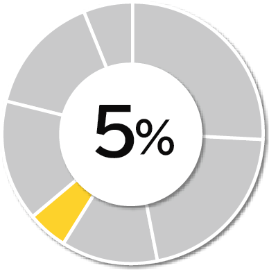 全体の5パーセント