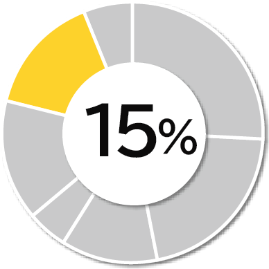 全体の15パーセント
