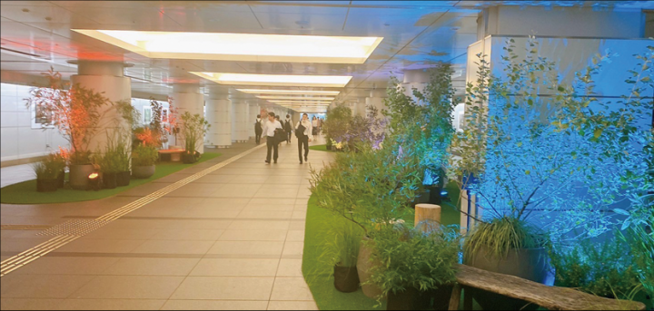 都市空間における新たな緑の創出事業の画像