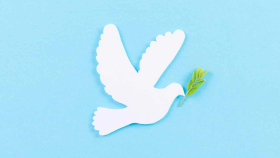 サムネイルの画像