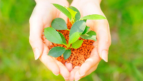 サムネイルの画像