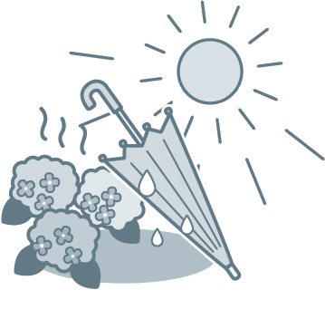 梅雨の晴れ間のイメージ画像