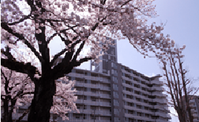 記事のサムネイル