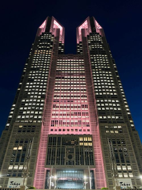 ライトアップの画像