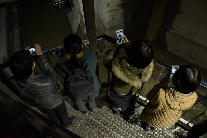 浅草橋幹線の写真