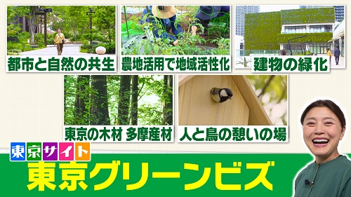 東京サイト「東京グリーンビズ」映像イメージ