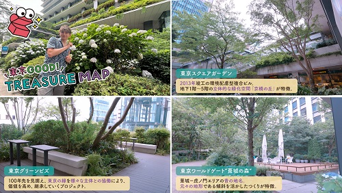 東京GOOD!「都心だからこそ！オフィス街のグリーン 京橋」映像イメージ