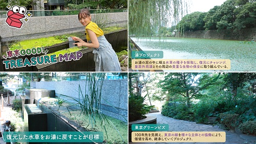 東京GOOD!「水草と生物を守る！濠プロジェクト大手町」映像イメージ