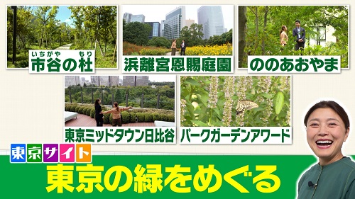 東京サイト「東京の緑をめぐる」映像イメージ