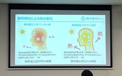 暑熱順化による体の変化