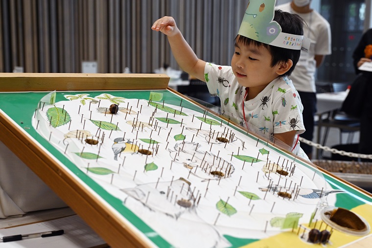 A child playing acorn pachinko