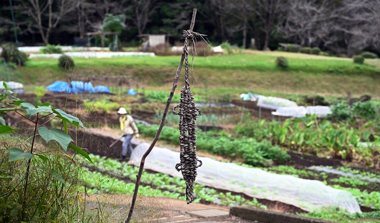  Ome Fusegi no Waraji (straw sandal to ward off epidemics)